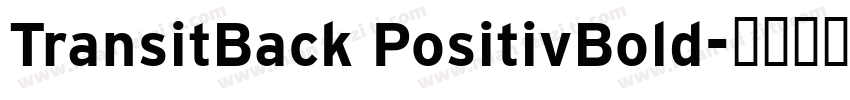 TransitBack PositivBold字体转换